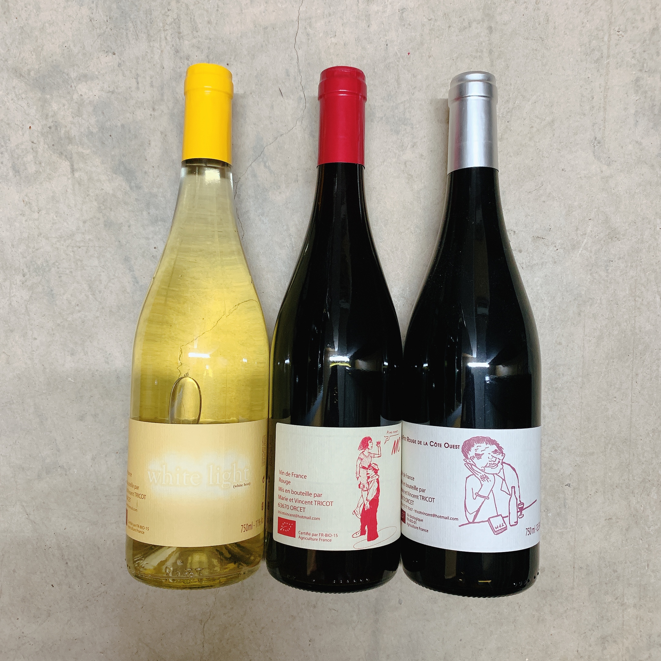 ヴァンサン・トリコ入荷!その①