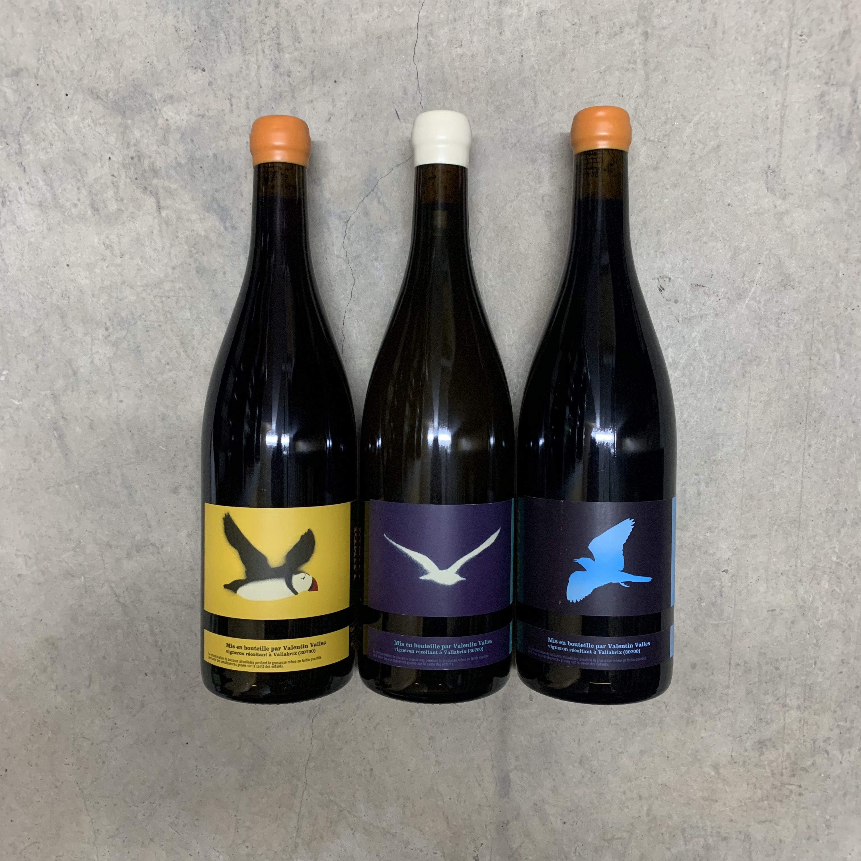 ヴァランタン・ヴァルス入荷!