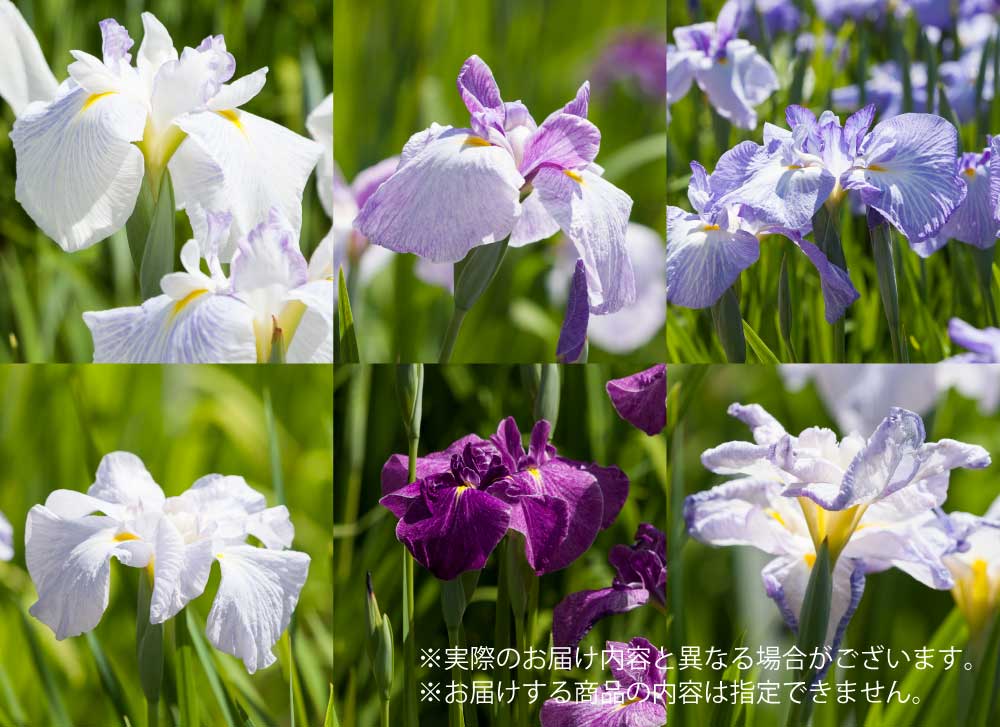 初めてのご購入されるお客様へ