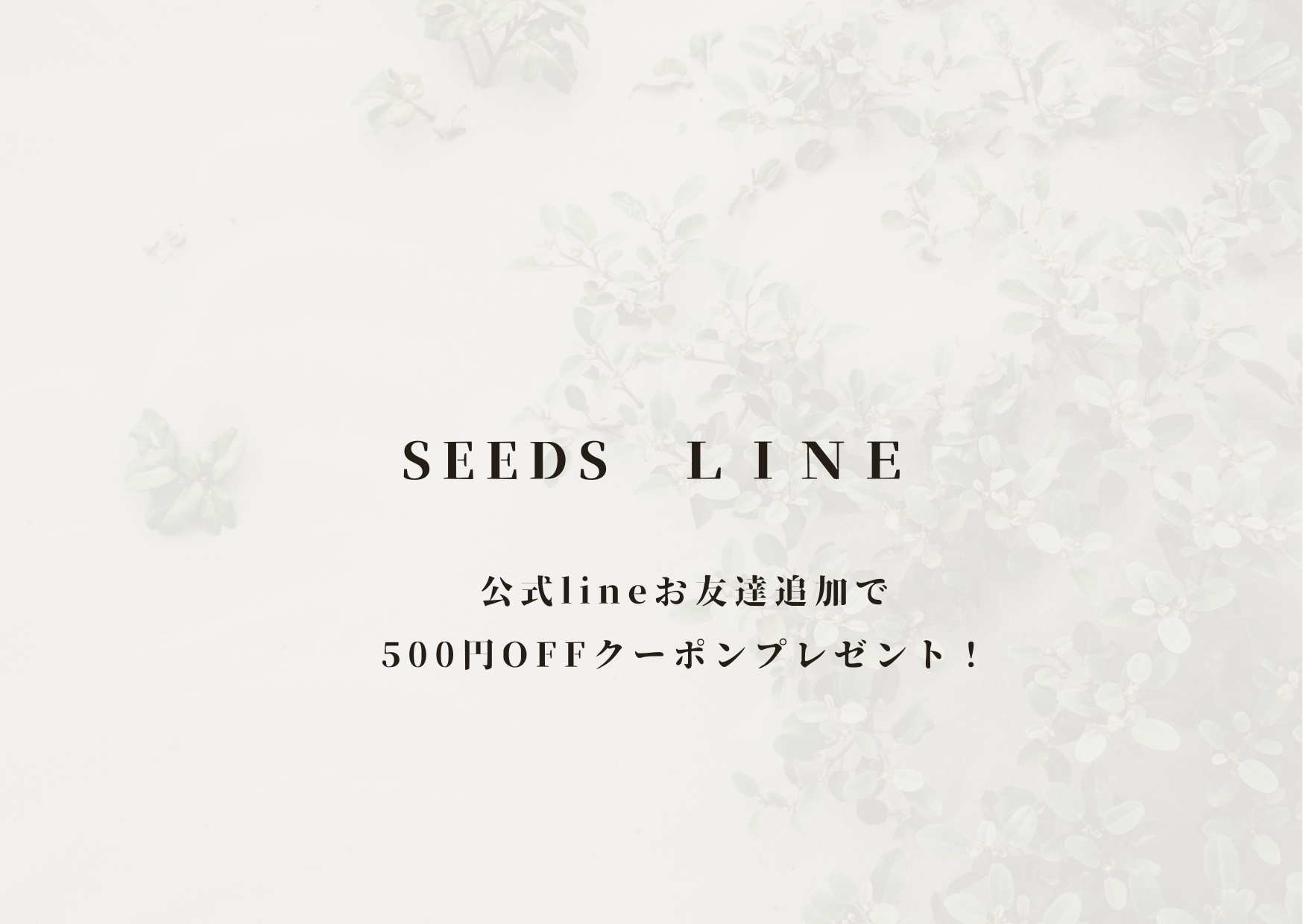 SEEDS　公式LINE　お友達追加で500円クーポンプレゼント！