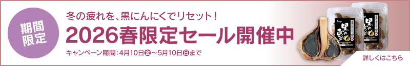 ２０２６年　春限定セールを開催します！