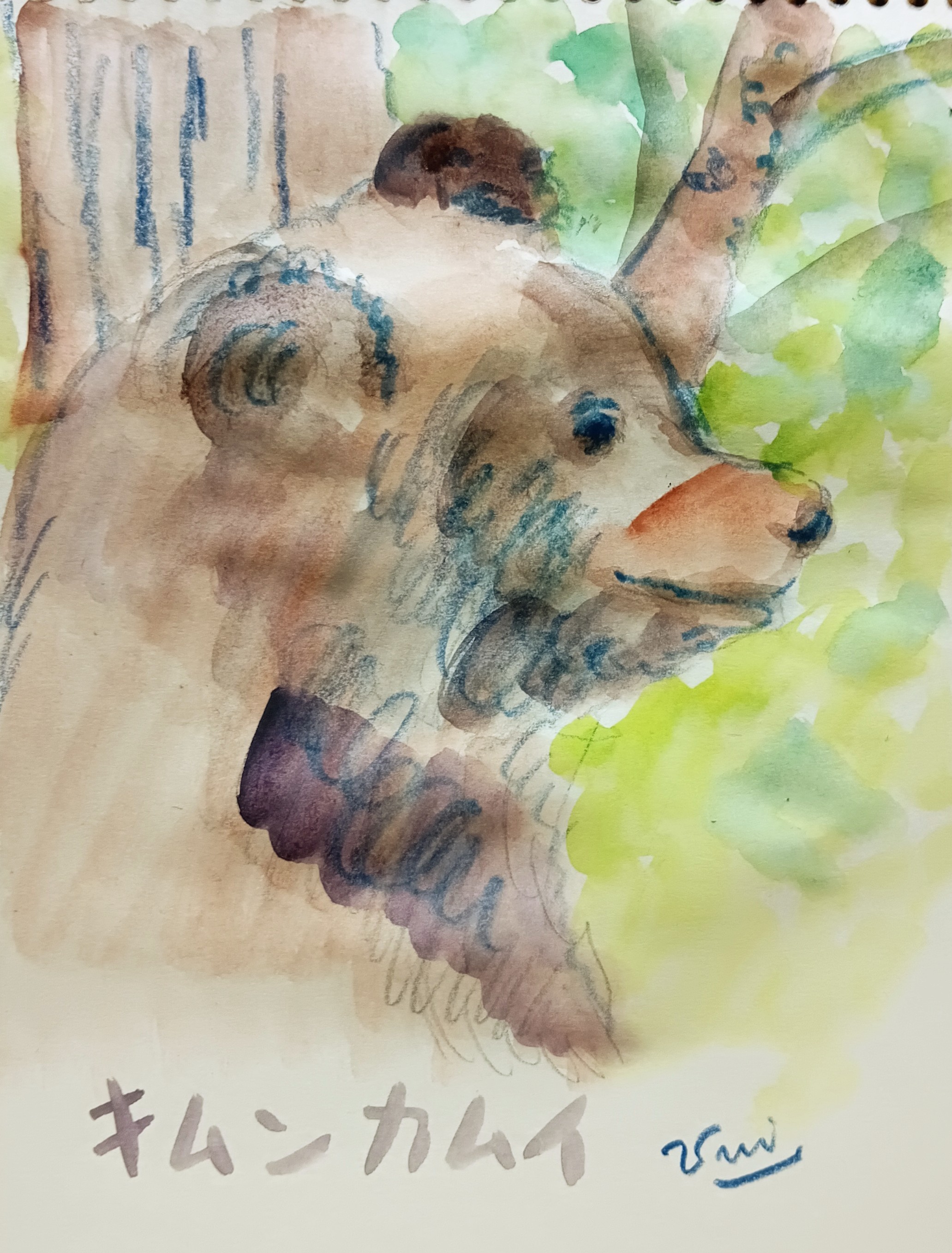 アイヌ文化へ思いをよせて