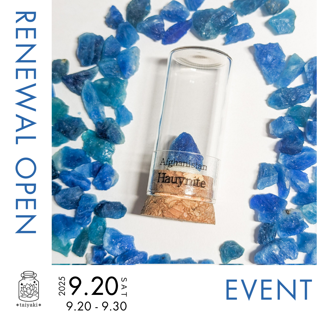 ✨リニューアルオープン記念イベント開催✨