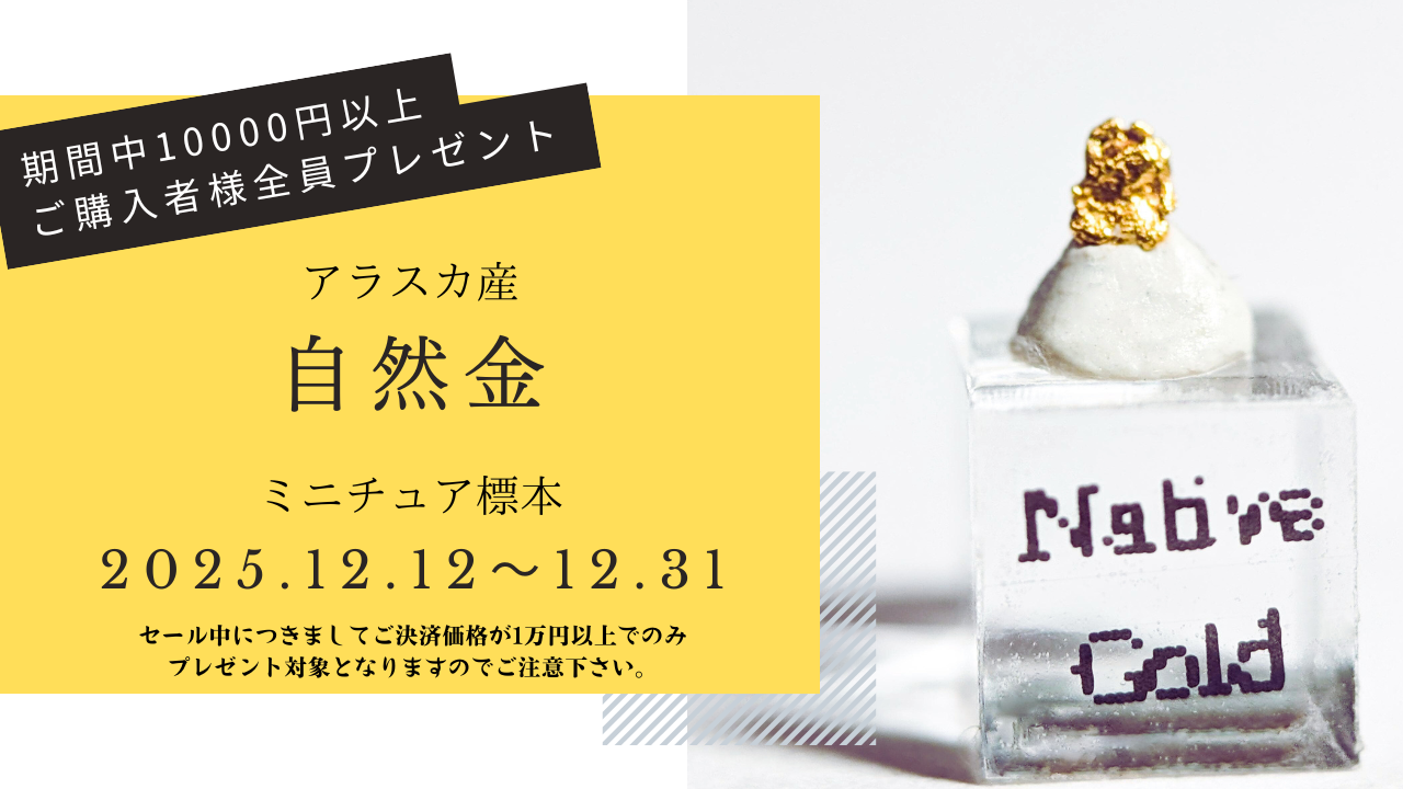 ✨12日より年末セール販売イベント開催✨