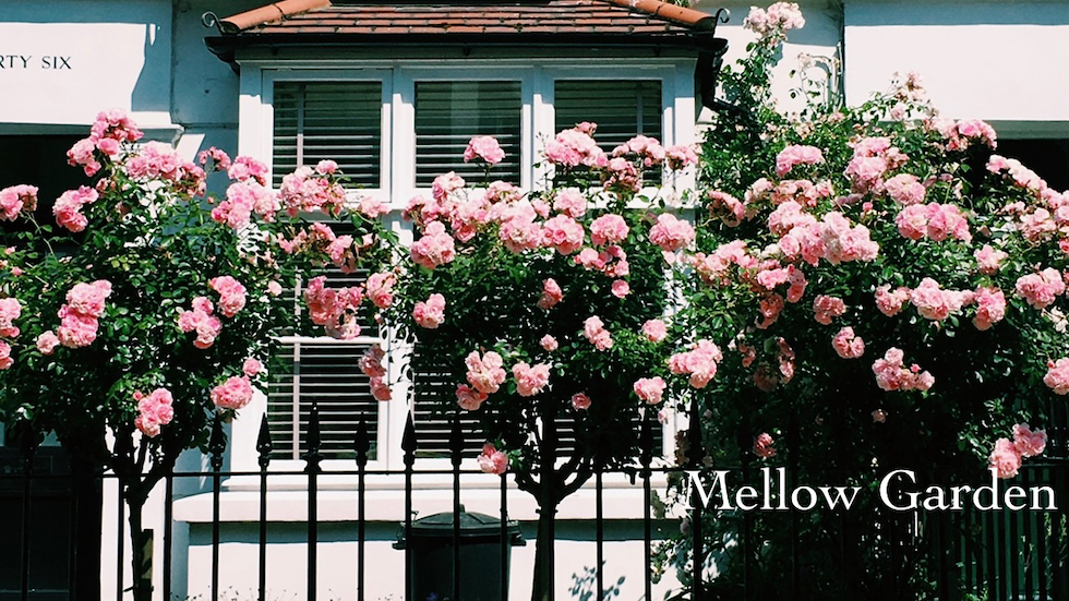6月の香り: “Mellow Garden“