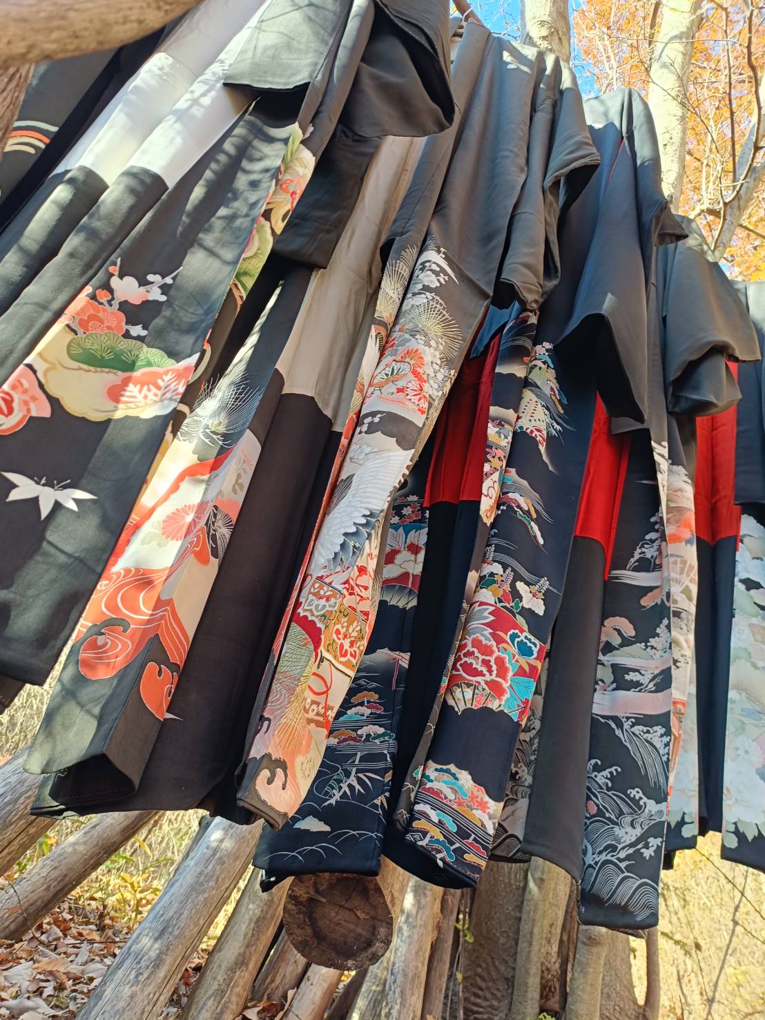 天日干し第四弾