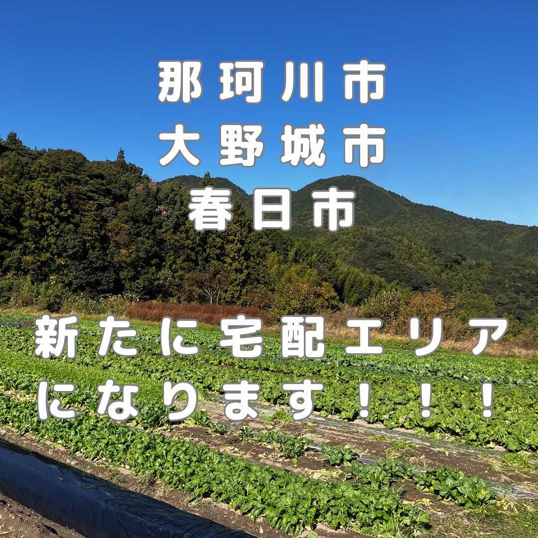 【お知らせ】宅配エリア拡大！(那珂川市・大野城市・春日市)新規のお客さまの募集をしています♪