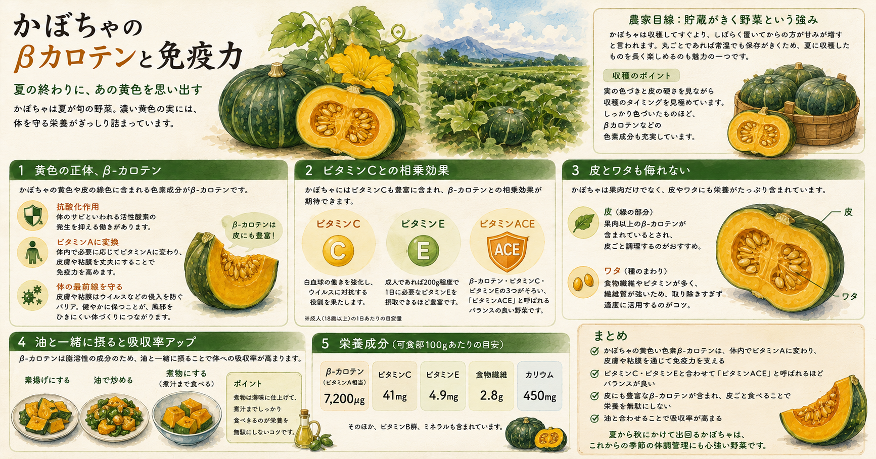 かぼちゃのβカロテンと免疫力