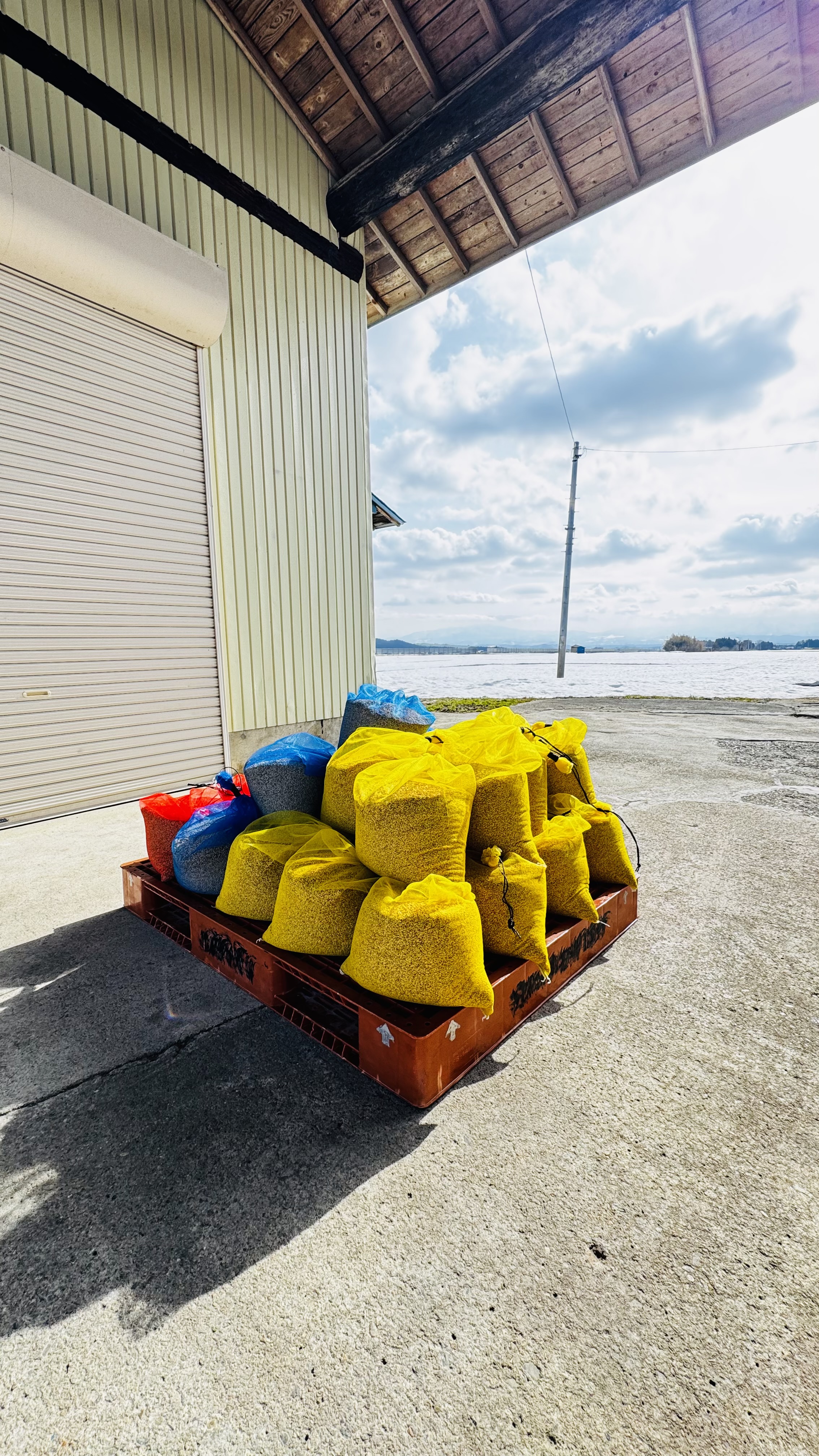 令和8年度、稲作開始