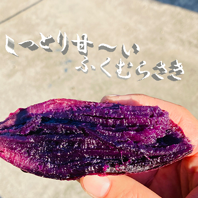【ひと目でわかる！】「おいしいさつまいもの見分け方」皮と形で違いが丸わかり！