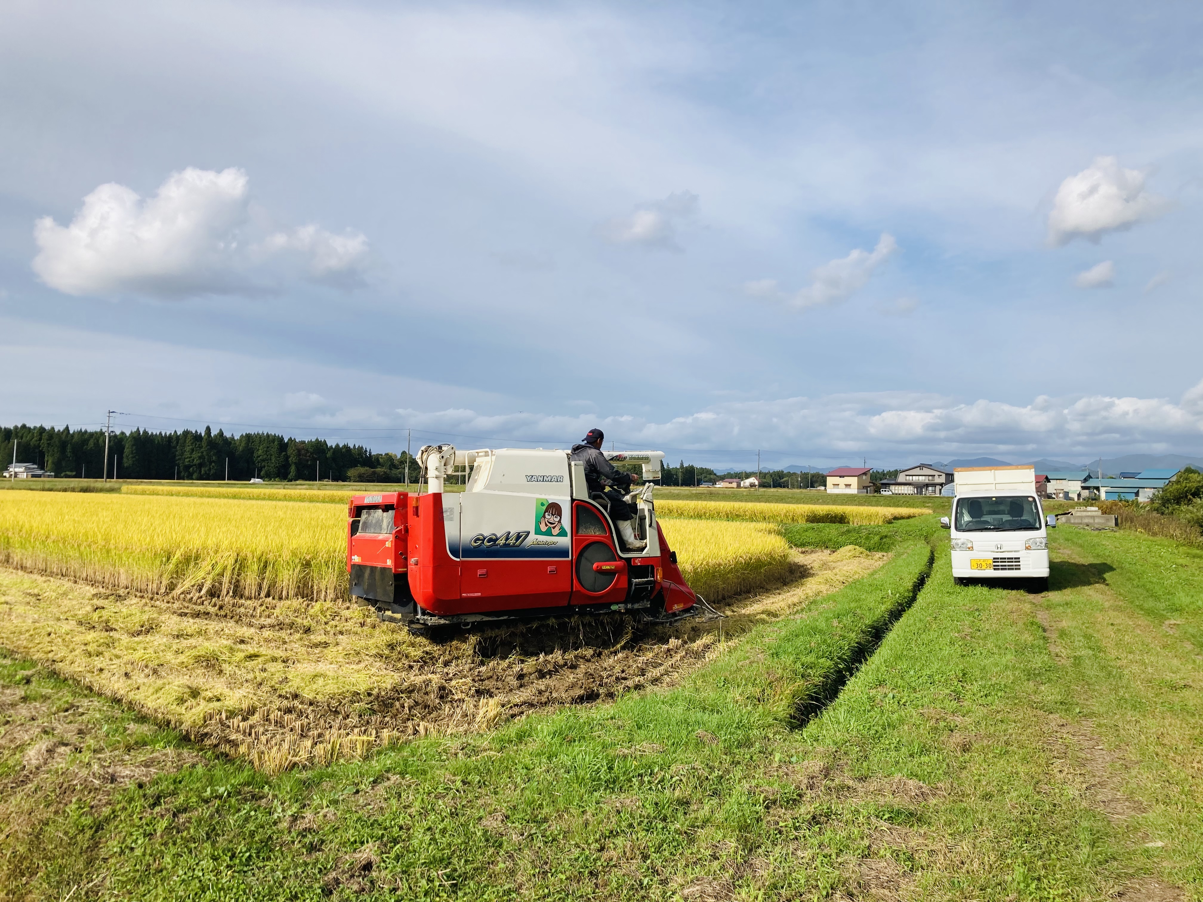 今年の稲刈りも今日で終了🌾