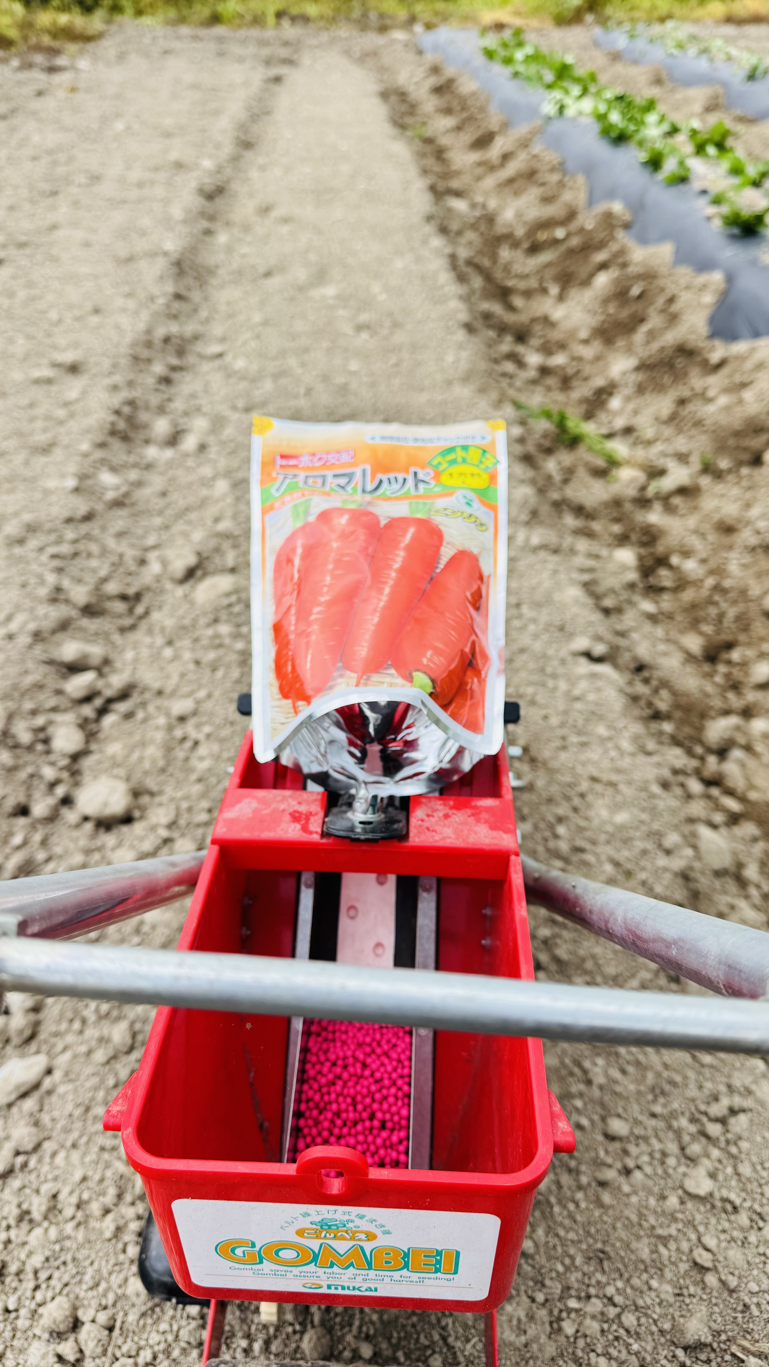 予定外の🥕
