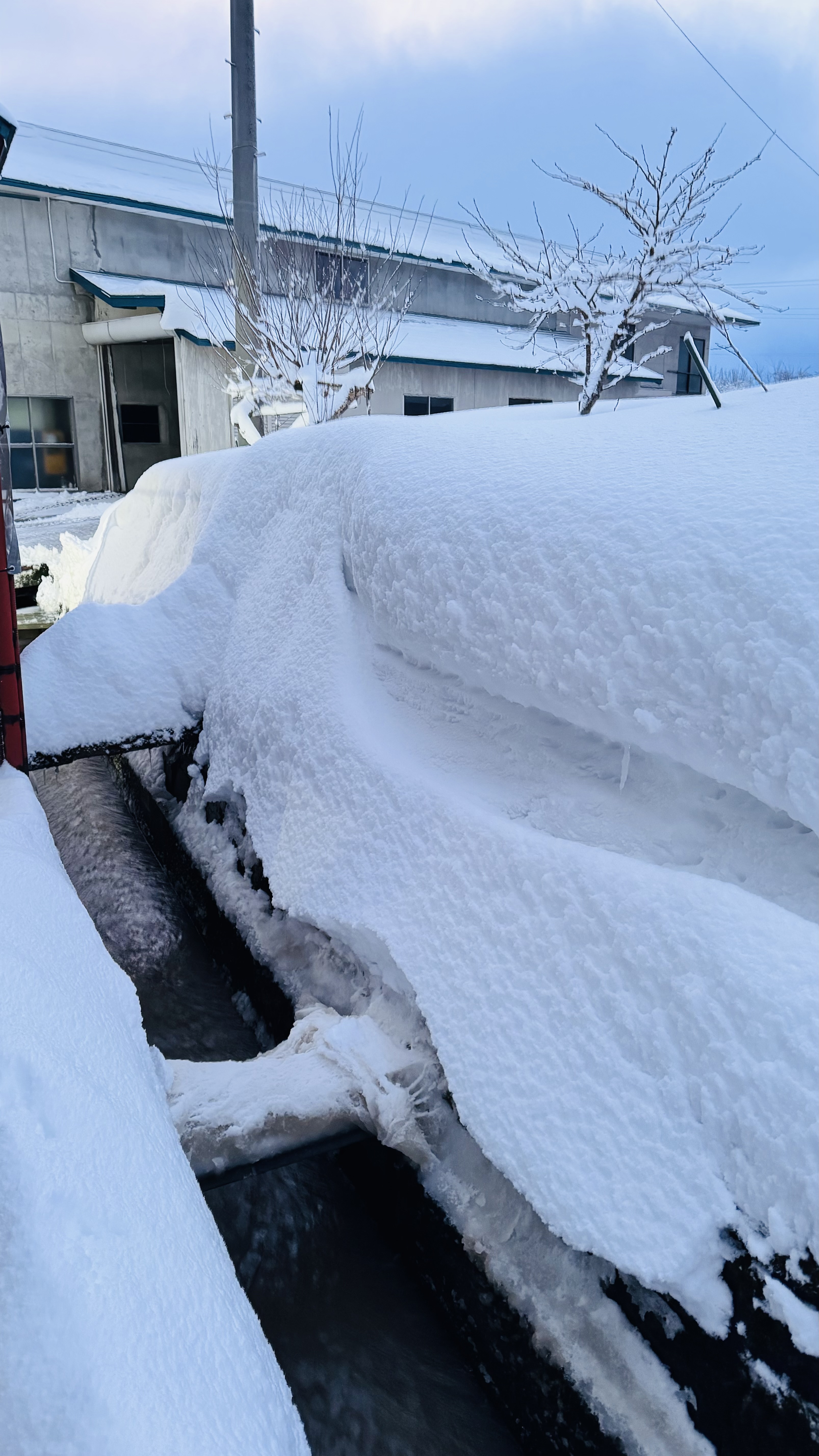 積雪が❄️
