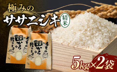 【ANAにキュン限定】