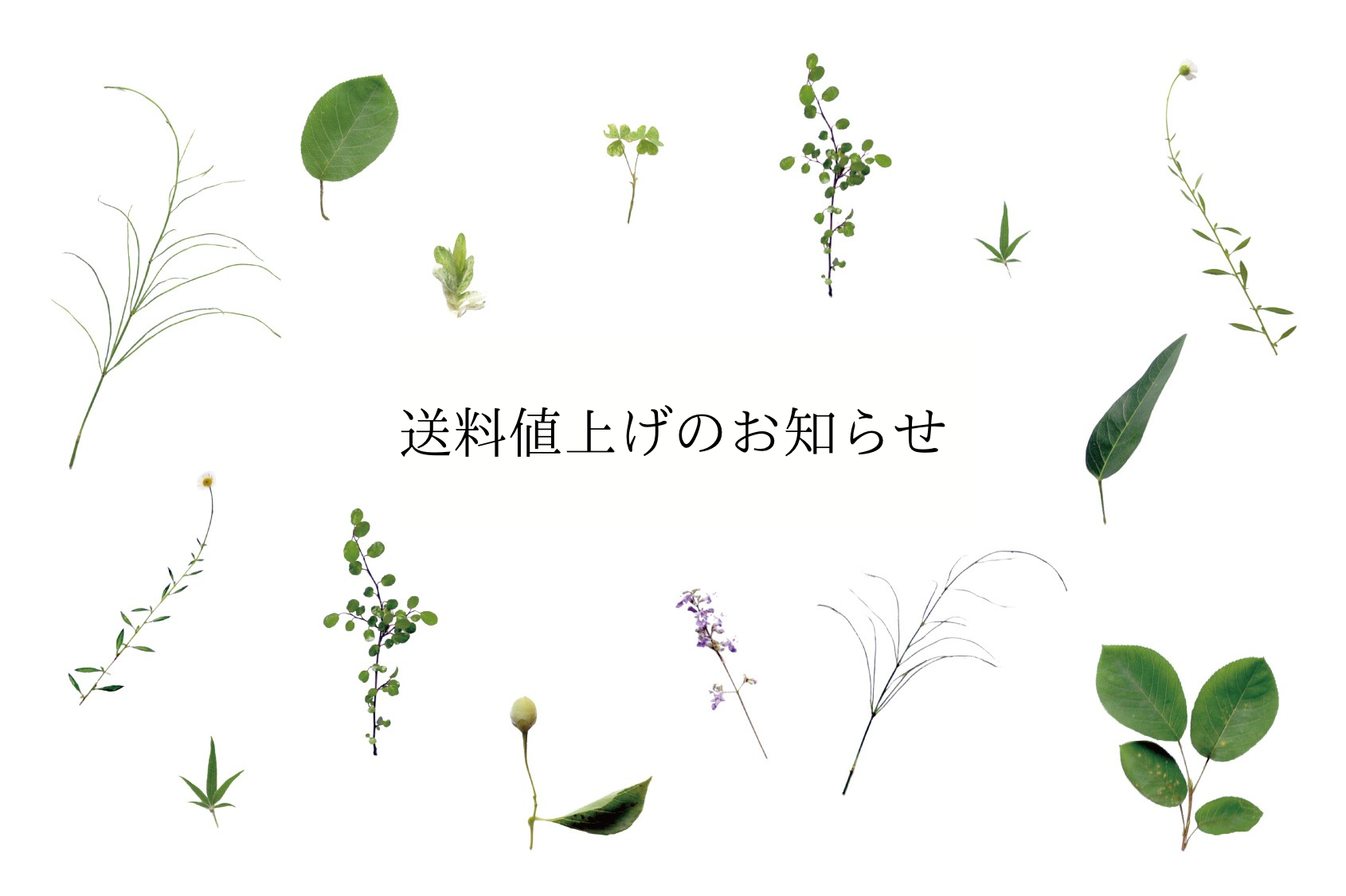 送料値上げのお知らせ