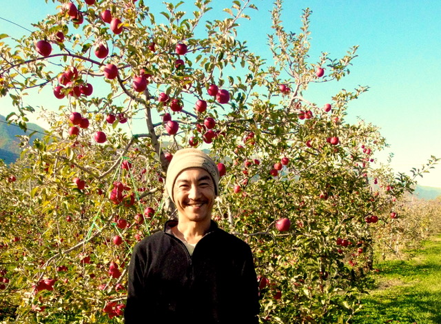 2024年度の安曇野りんごの木オーナー募集開始いたしました！