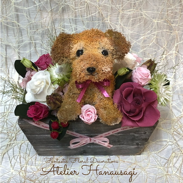 プリザーブドモスのトイプードルアレンジ◆オーダーメイド