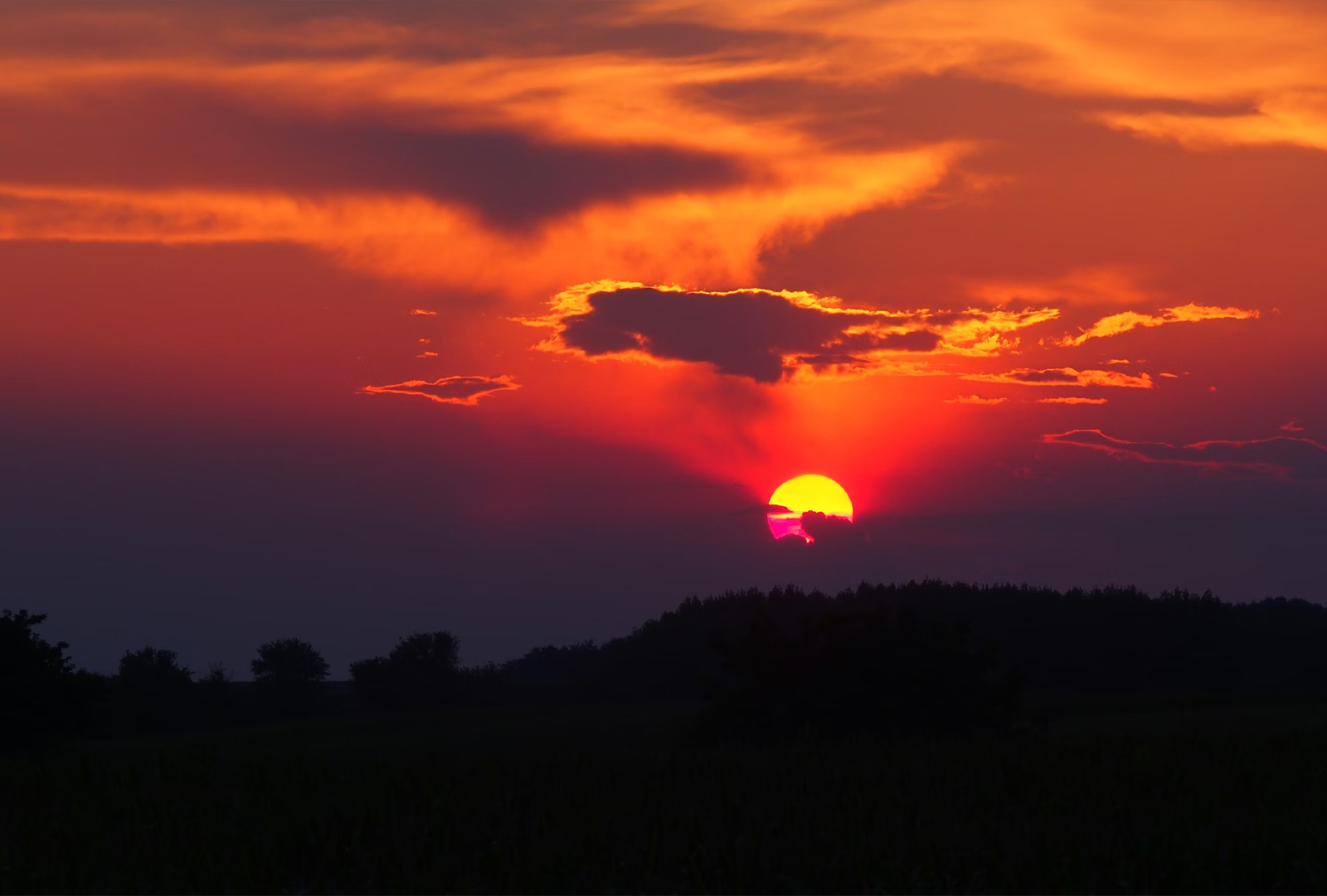 年末のご挨拶 🗓️