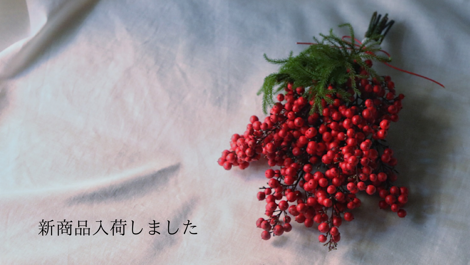 《2024.12.20》新商品入荷しました