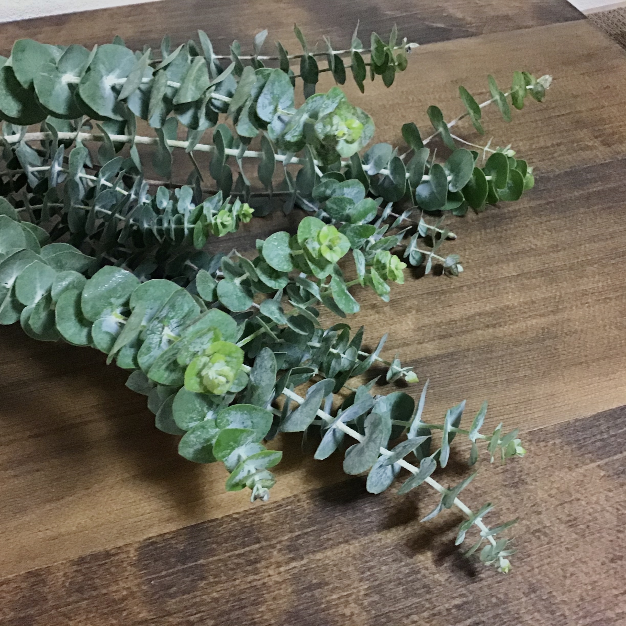 2020.9.30 お花入荷しました！