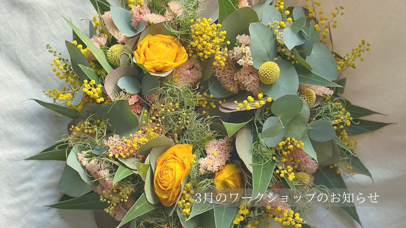 《2026.2.18》3月のワークショップのお知らせ