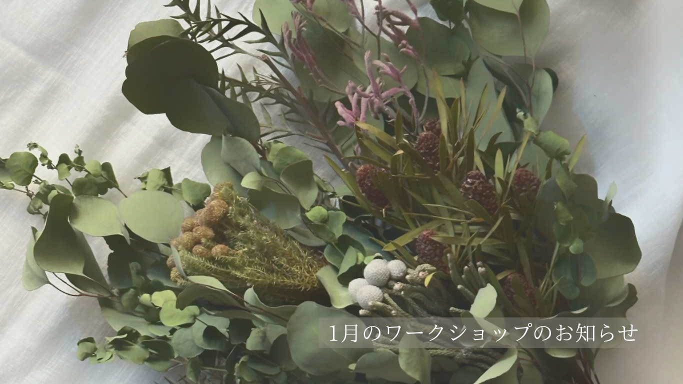 《2025.12.19》1月のワークショップのお知らせ