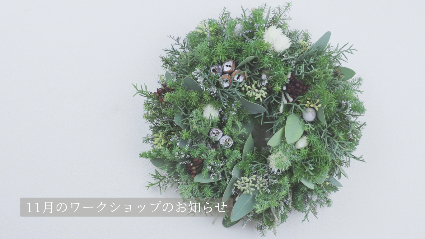 《2025.10.14》11月のワークショップのお知らせ