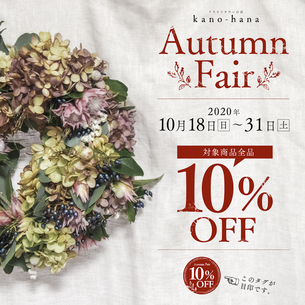 【対象商品10%OFF】秋のドライフラワーフェア開催【本日より】