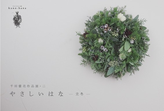 2022.11.3 千田優花作品展・二　「やさしいはな−立冬−」本日より開催です