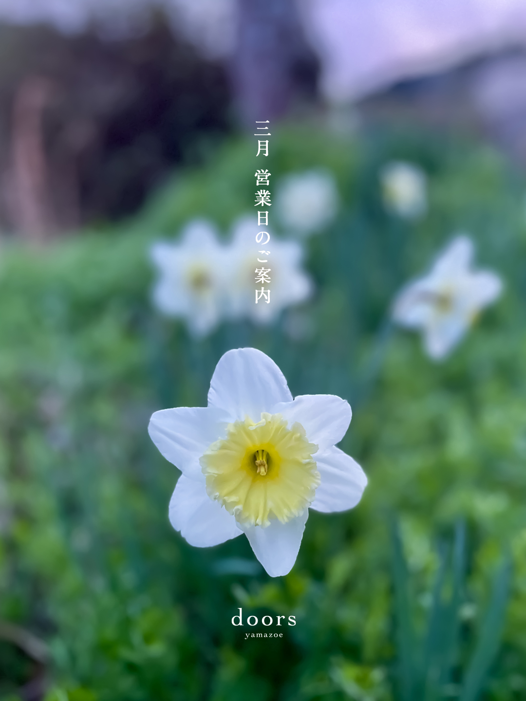 2026年3月 営業日のご案内