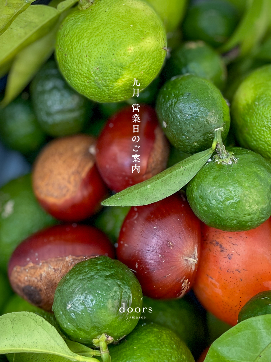 2025年9月 営業日のご案内