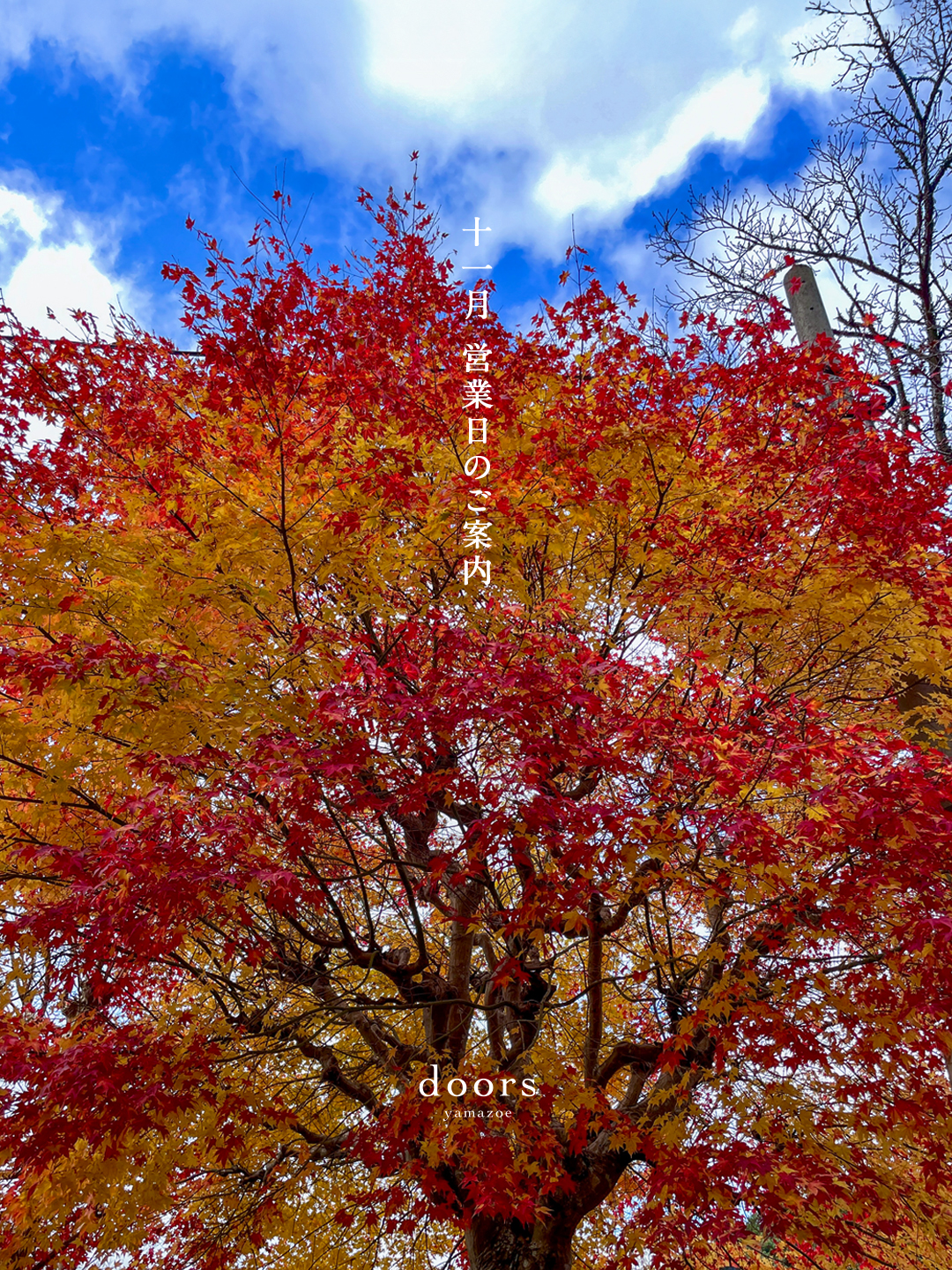 2025年11月 営業日のご案内