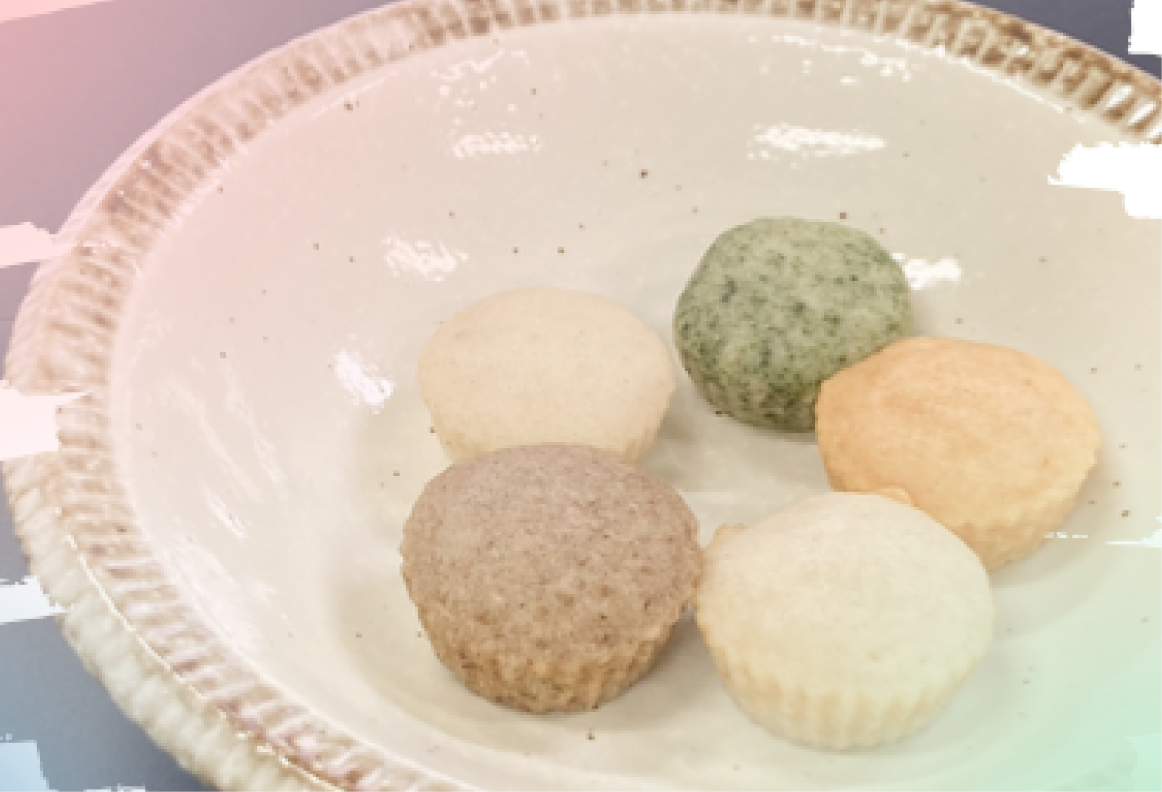 ACADEMIIC|離乳食「お守りお野菜ペースト(ごぼう)」を題材にした卒業研究が行われました