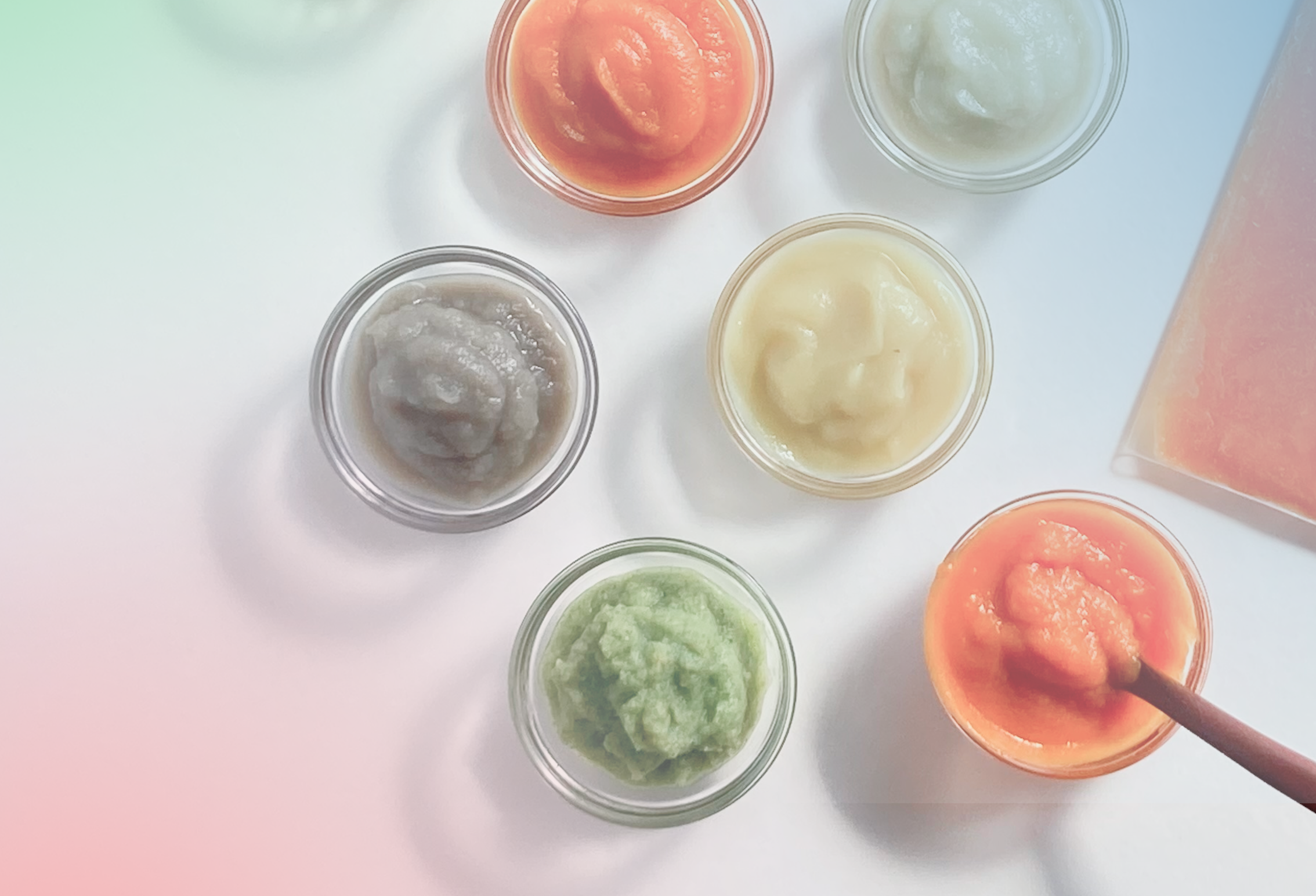 CONFERENCE|離乳食「お守りお野菜ペースト(ごぼう)」を題材にした研究発表が行われました