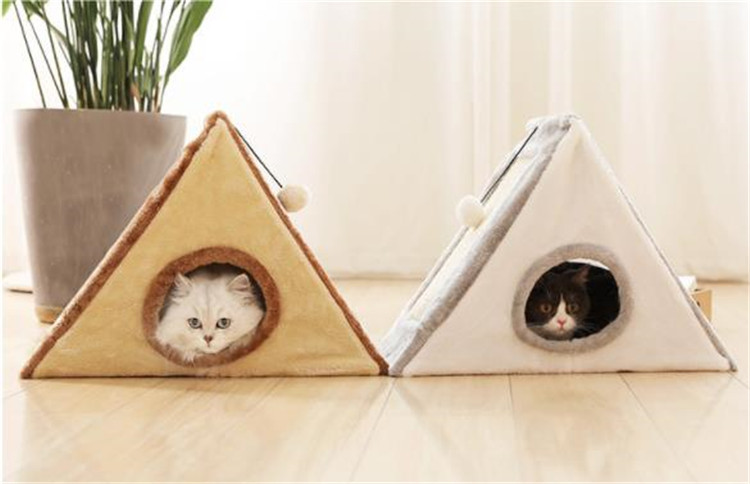 キャットハウス🐈️😺🏠️