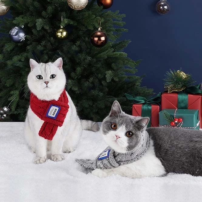 ☆寒がる猫ちゃんにしてあげること🐈️💙❄️☆☆
