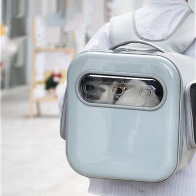 ペットとお出かけ🐕️🐈️🐾👜🎵✨