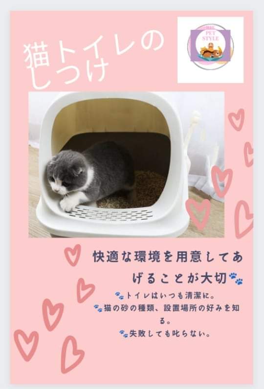 猫のトイレ😺🧡