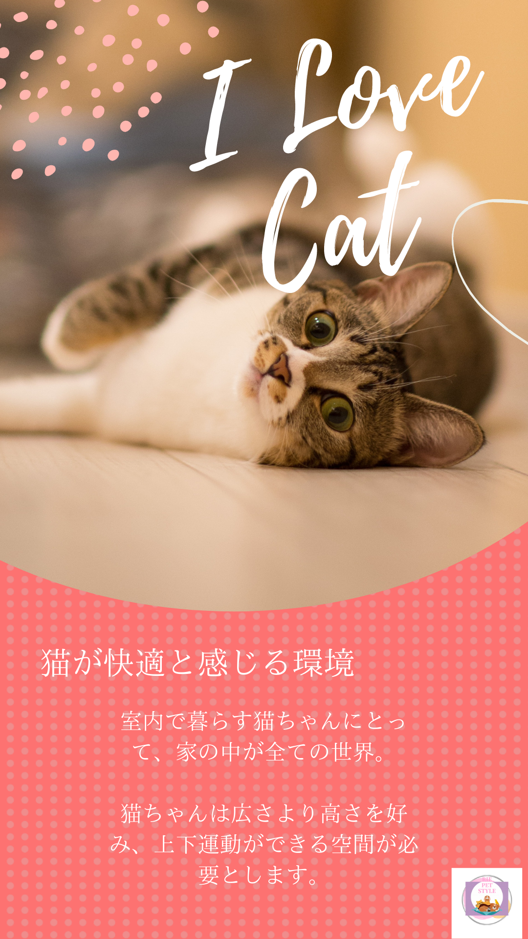猫の気持ち🐱🍀❤️