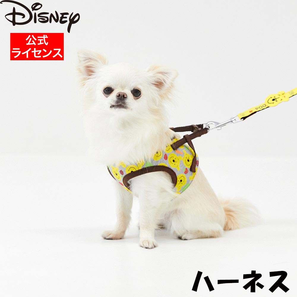 イエロー 【Disney公式ライセンス】🍯🧡🧡🧡