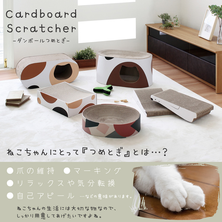 シロクマ 爪とぎ🐱