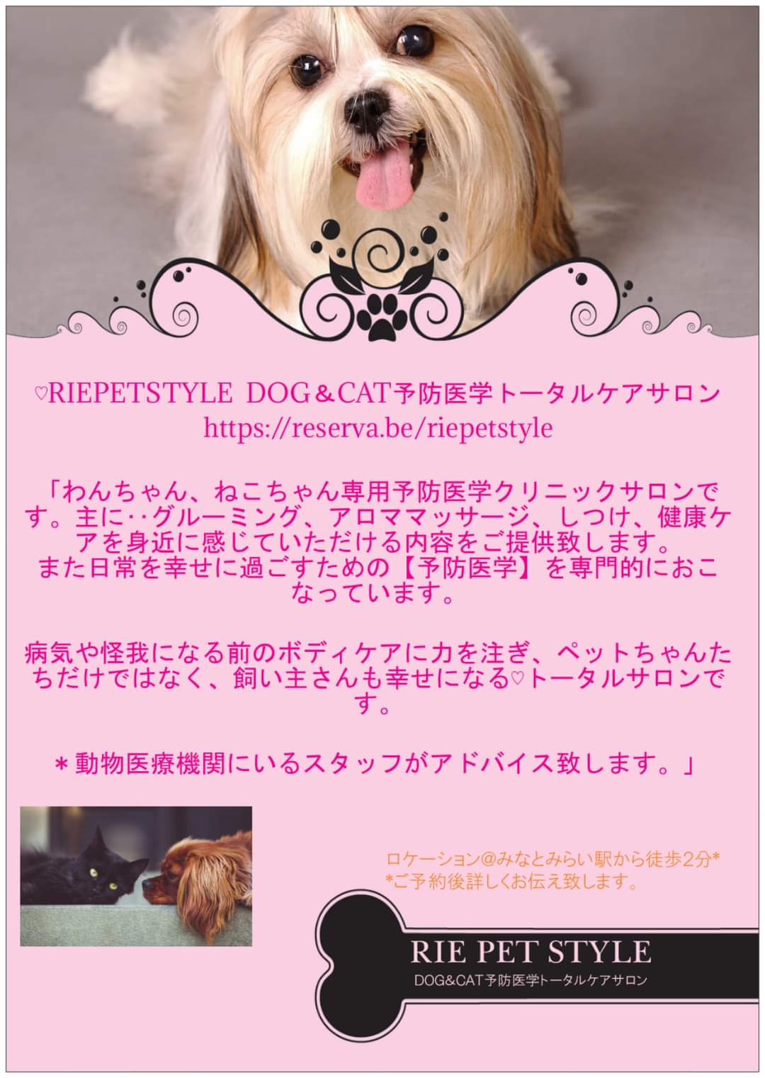 RIEPETSTYLE  DOG＆CAT予防医学トータルケアサロン 