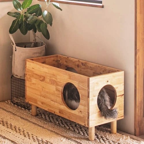 天然木🌳猫の家具😺