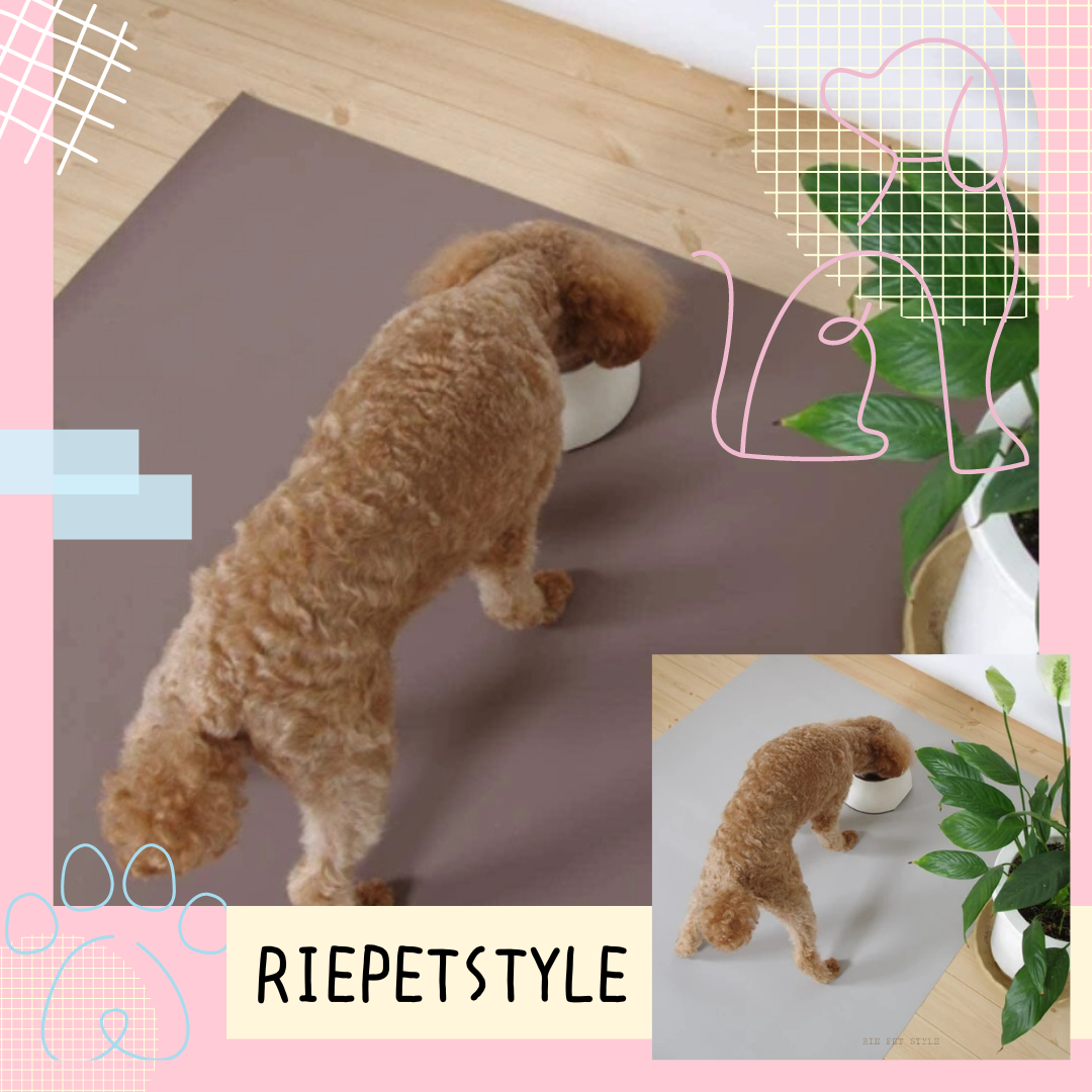 ペット用シート🐶🐱🐾