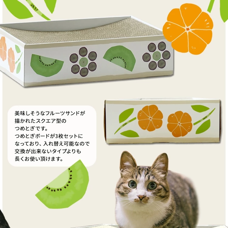 フルーツサンド🥝🍊猫の爪とぎ😽