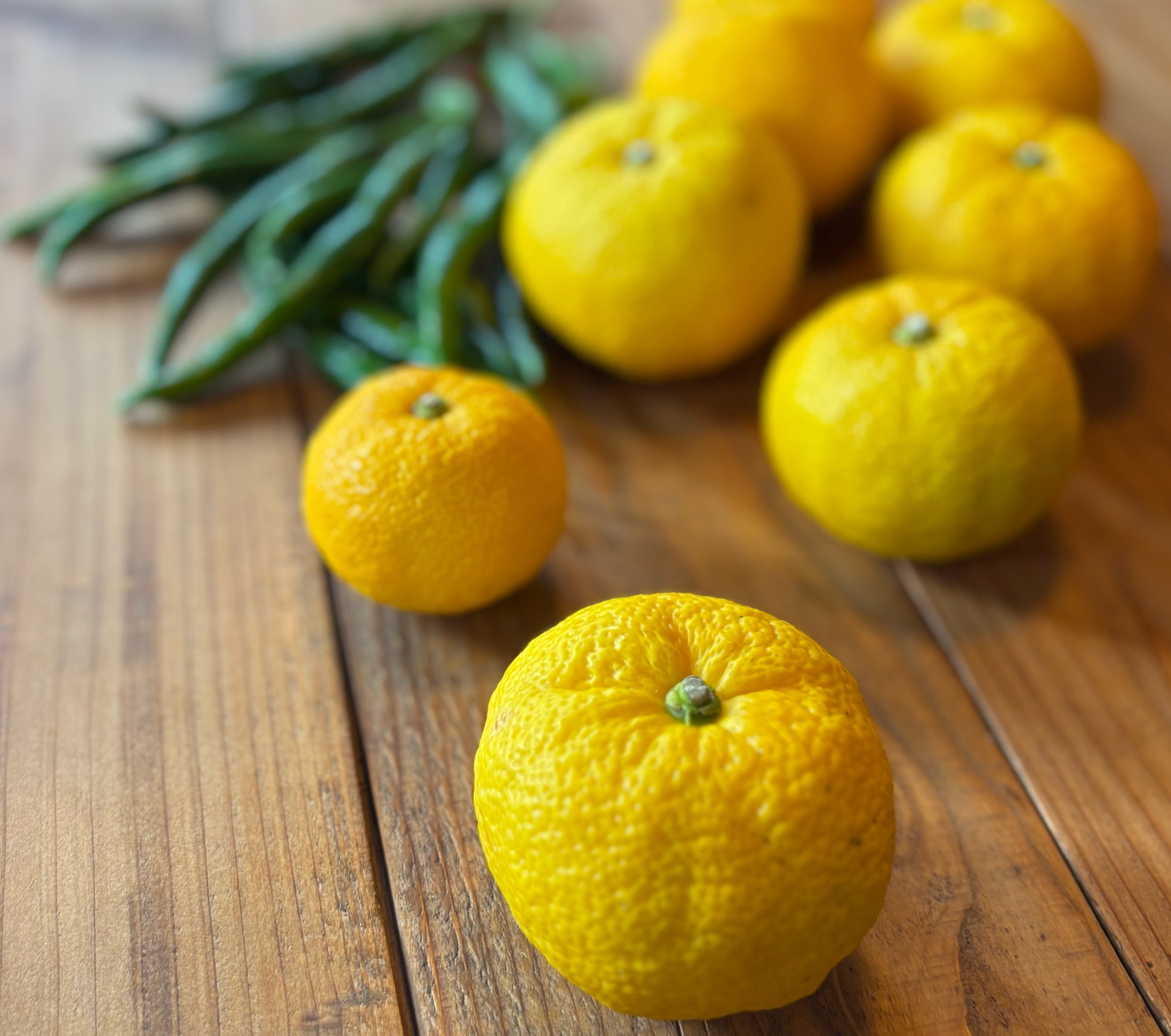 2025年★自家製柚子胡椒　販売開始！