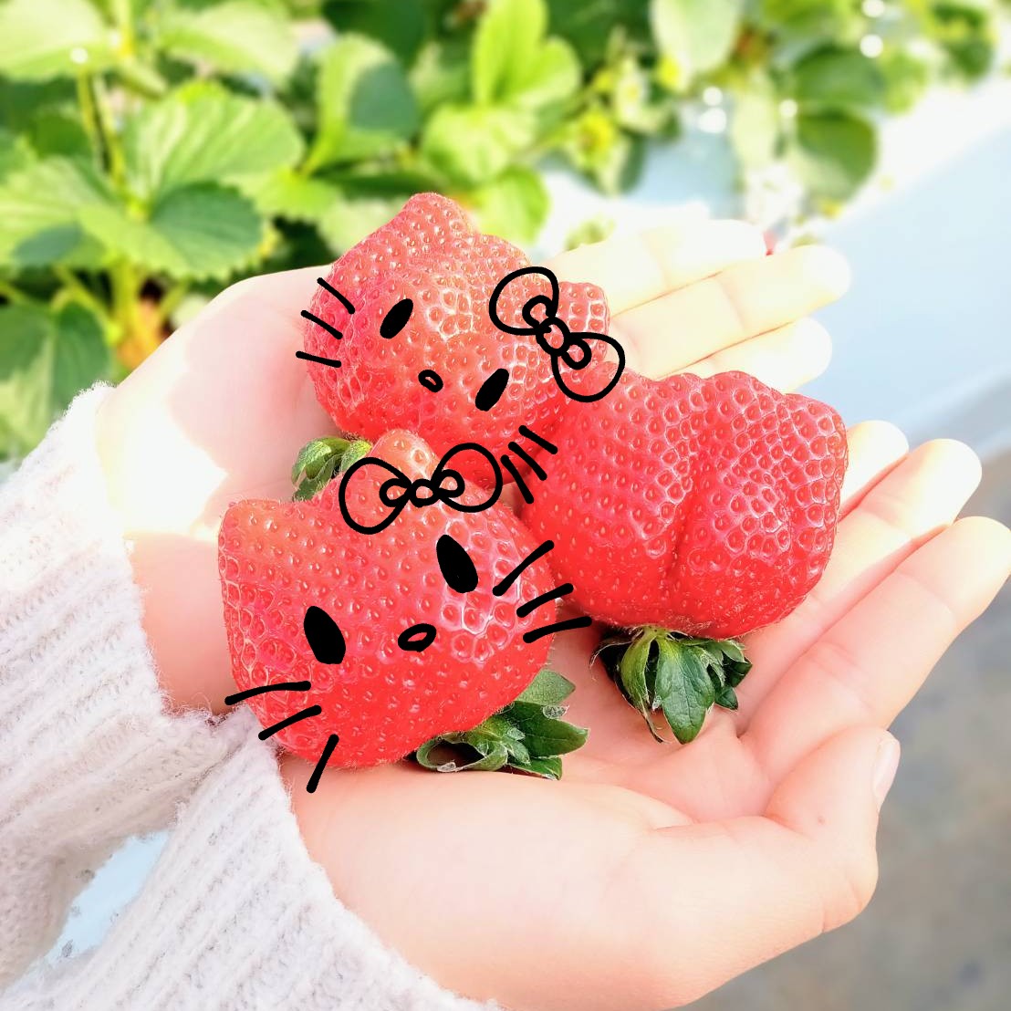 寒いですね💦風邪などに気をつけてください😆