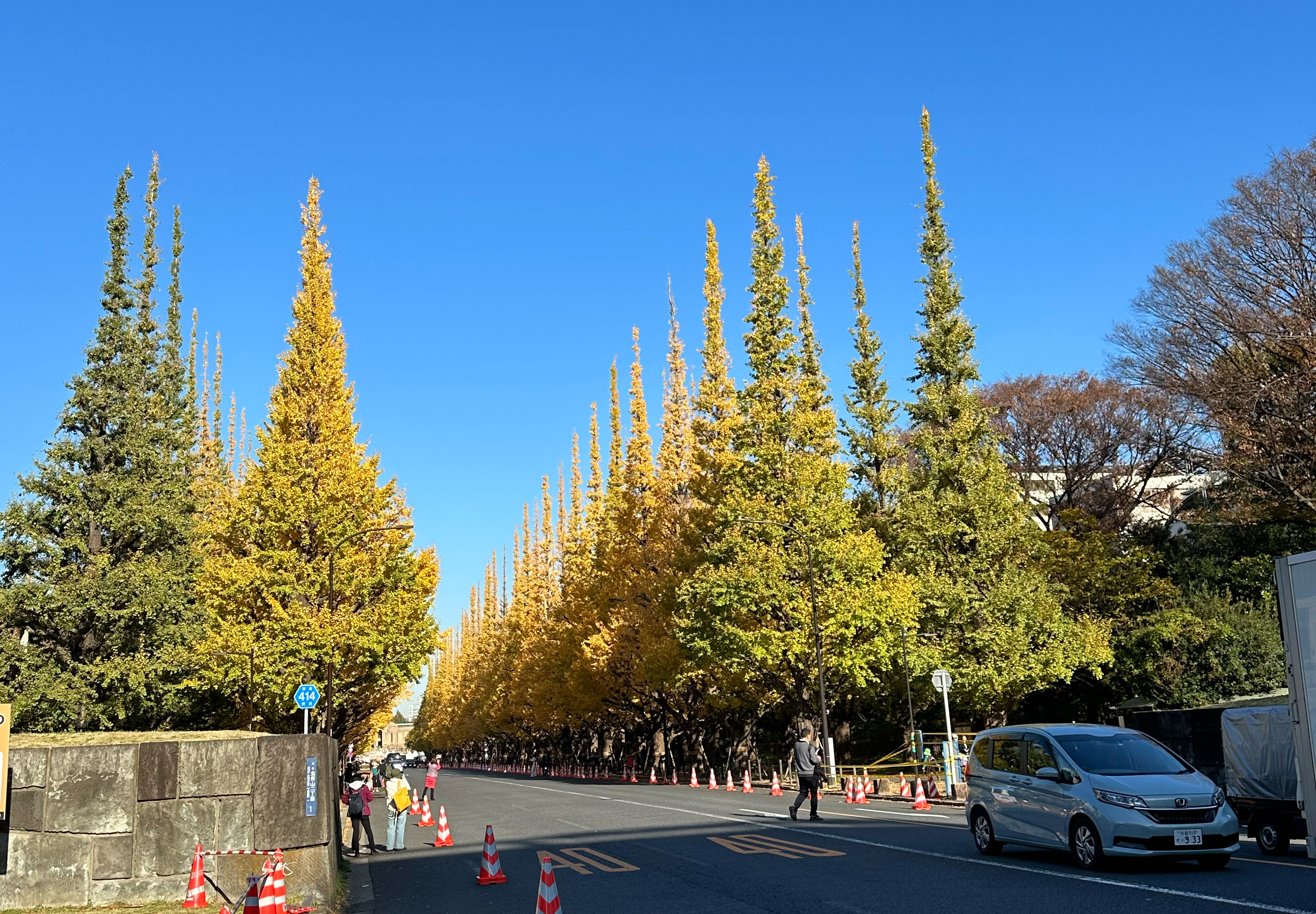 「秋のセール」始めます