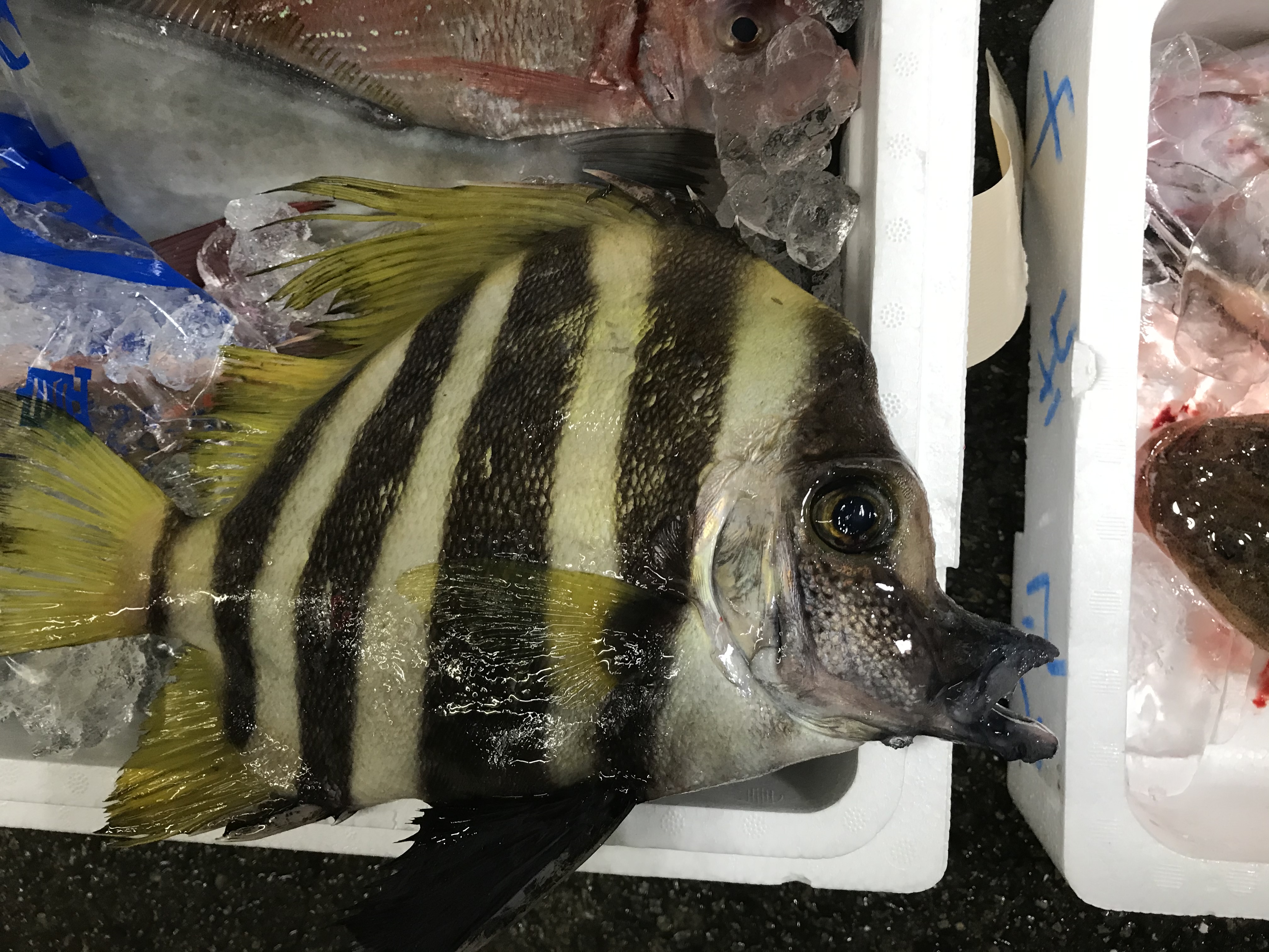 仕事は幾らでも探せばある。