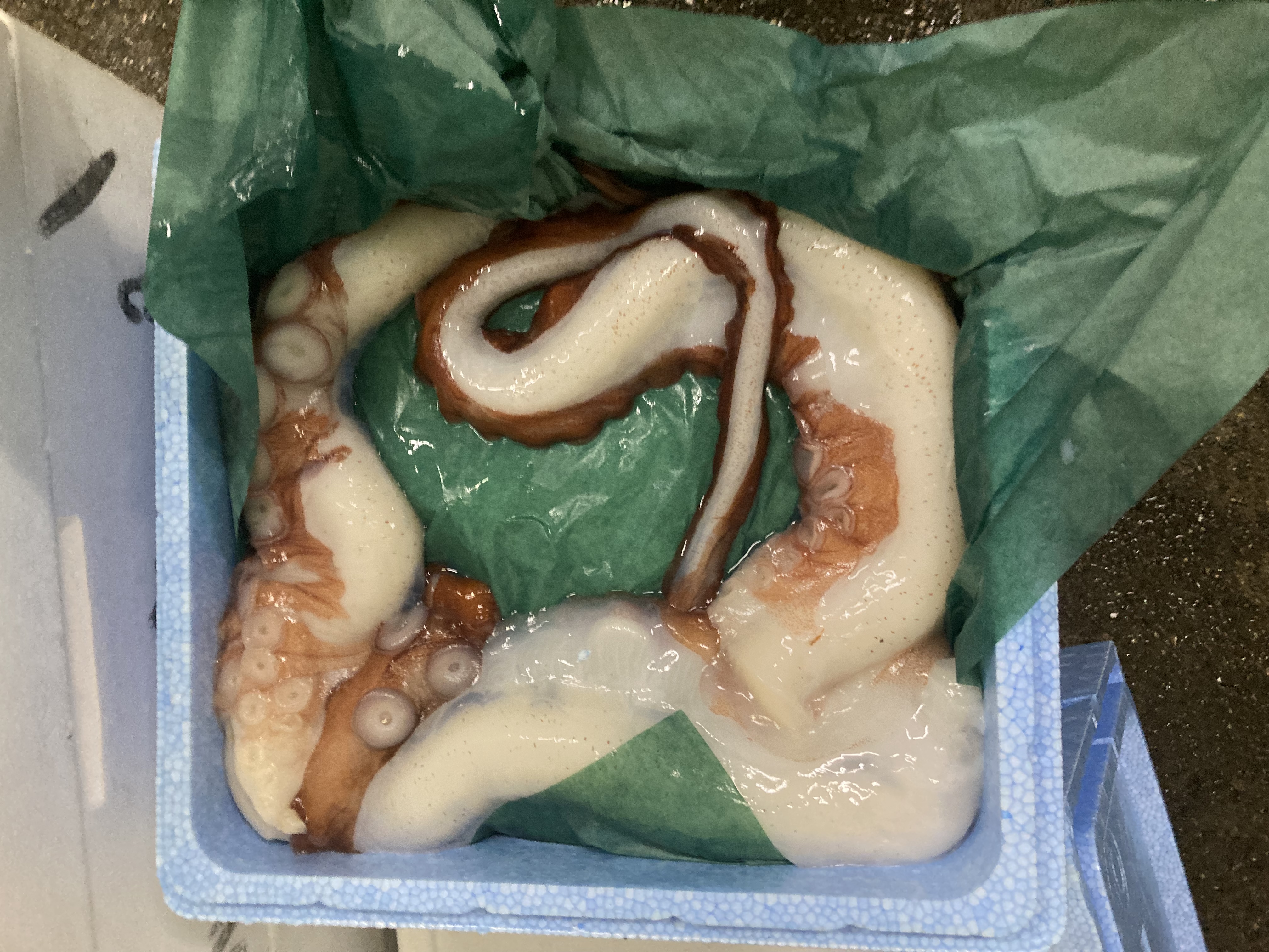 忙しいマジで